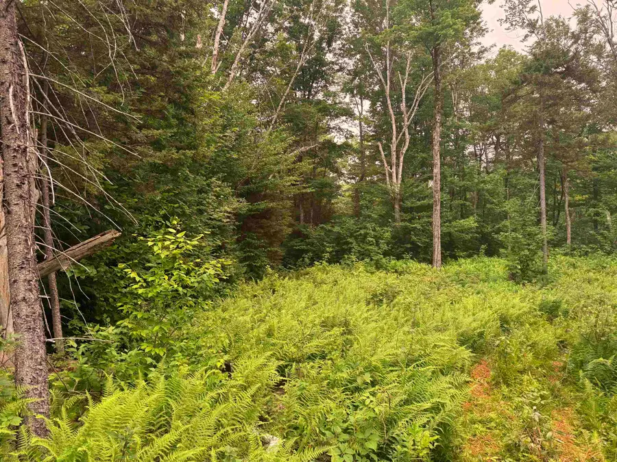 185 Valley View Road, Dover, VT 05356 - #3