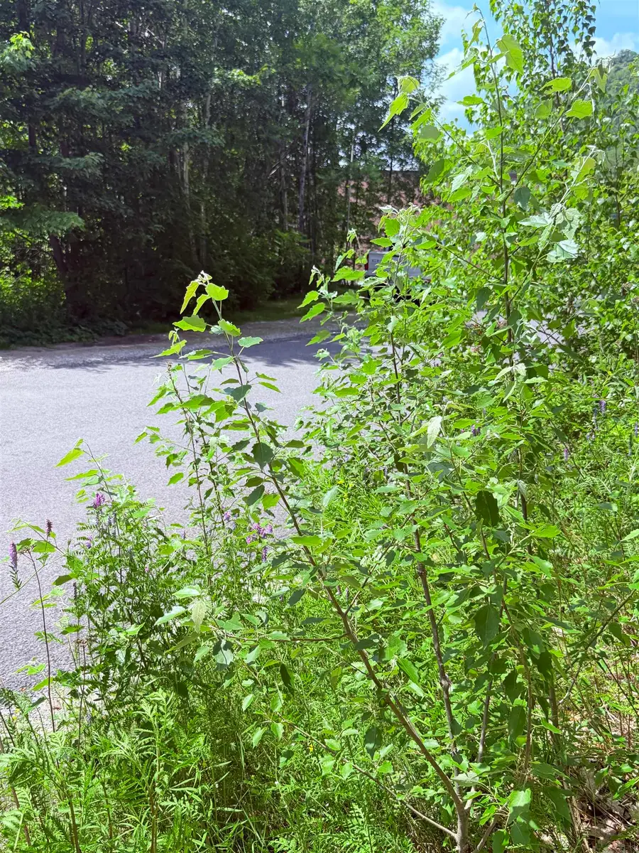 0  Jasper Street, Berlin, NH 03570 - #2