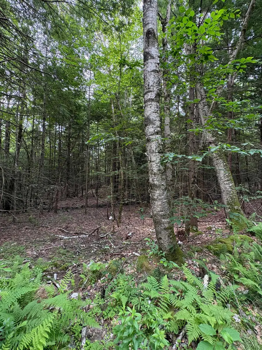 0 Access Road #MAP 18A LOT 15, Spofford, NH 03462 - #2