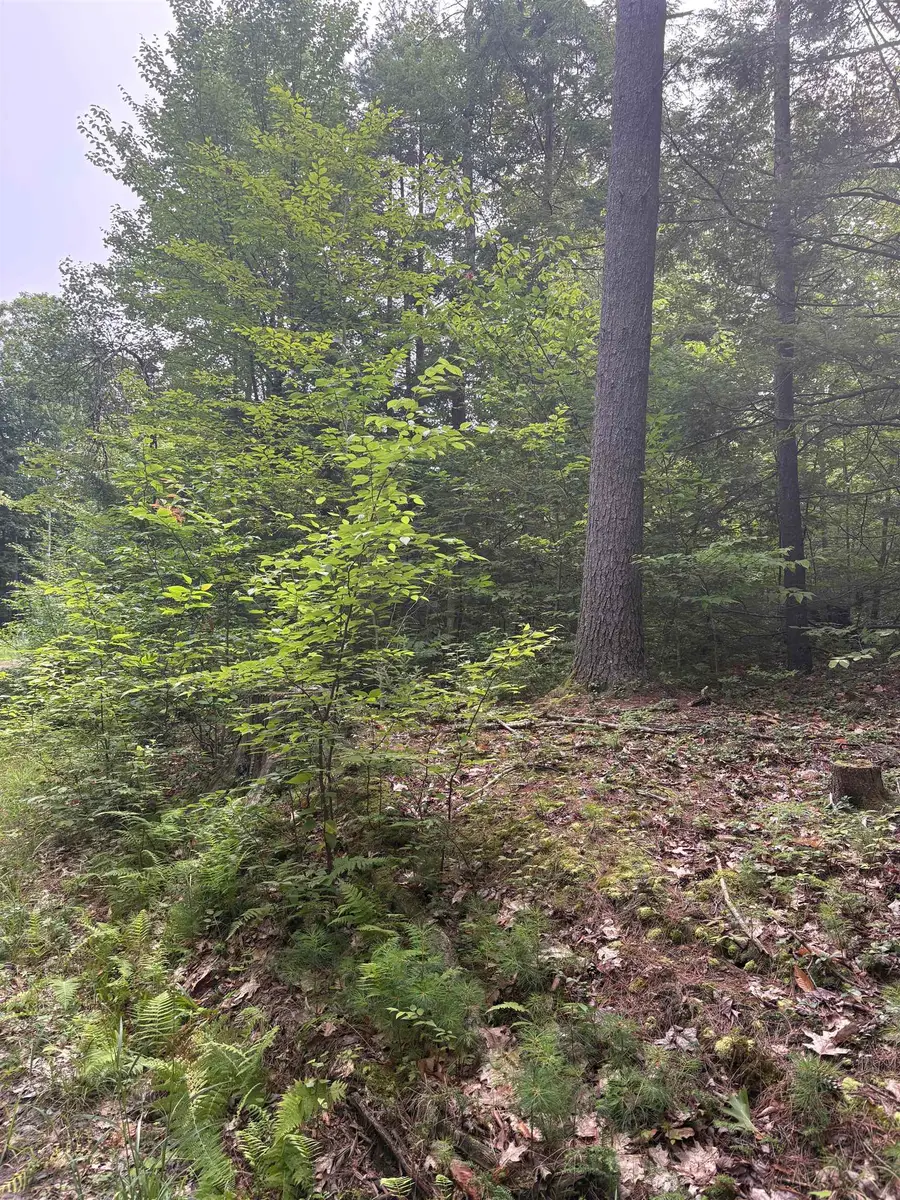 0 Access Road #MAP 18A LOT 15, Spofford, NH 03462 - #3