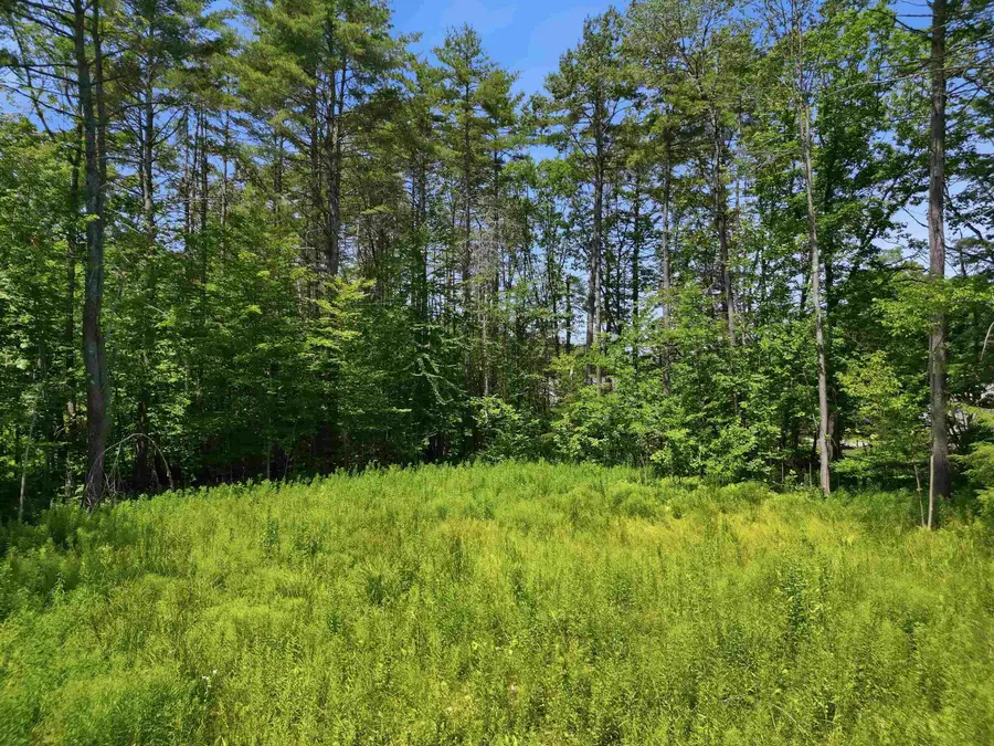 9 Beech Street, Sunapee, NH 03782 - #3