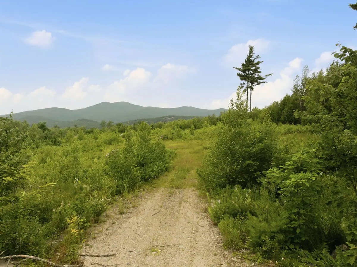 32 Durgin Road, Tuftonboro, NH 03816 - #1