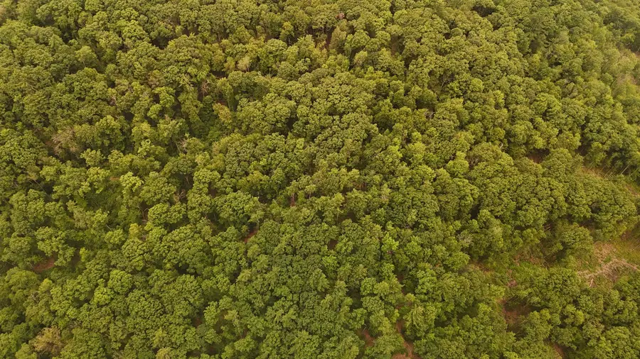 000 Burt Hill Road, Winchester, NH 03455 - #2