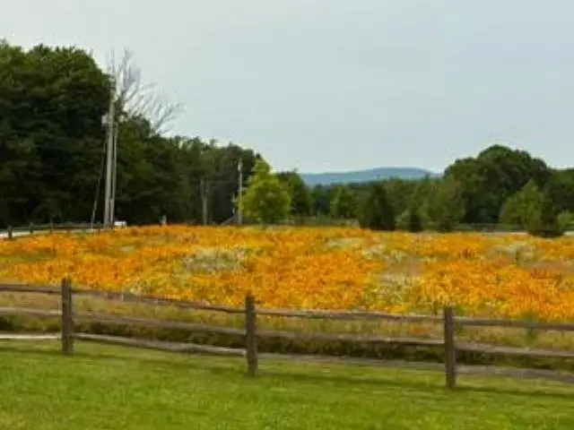 744 Ashby Road, New Ipswich, NH 03071-3506 - #1