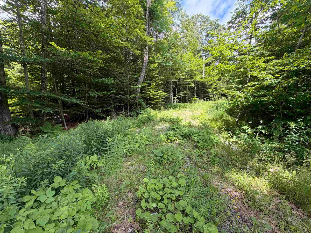 0 Route 100, Dover, VT 05356 - #1