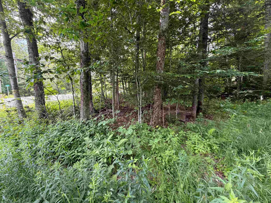 0 Route 100, Dover, VT 05356 - #2