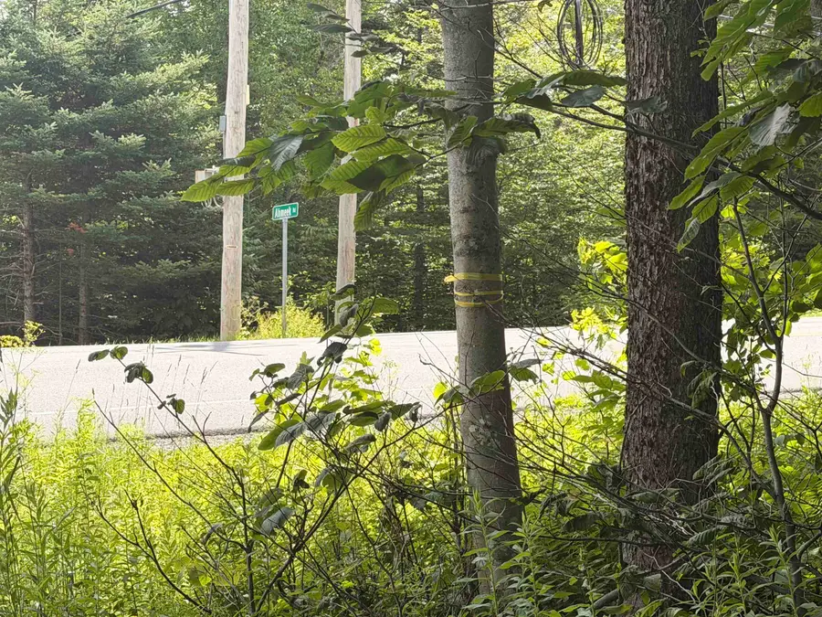 0 Route 100, Dover, VT 05356 - #3