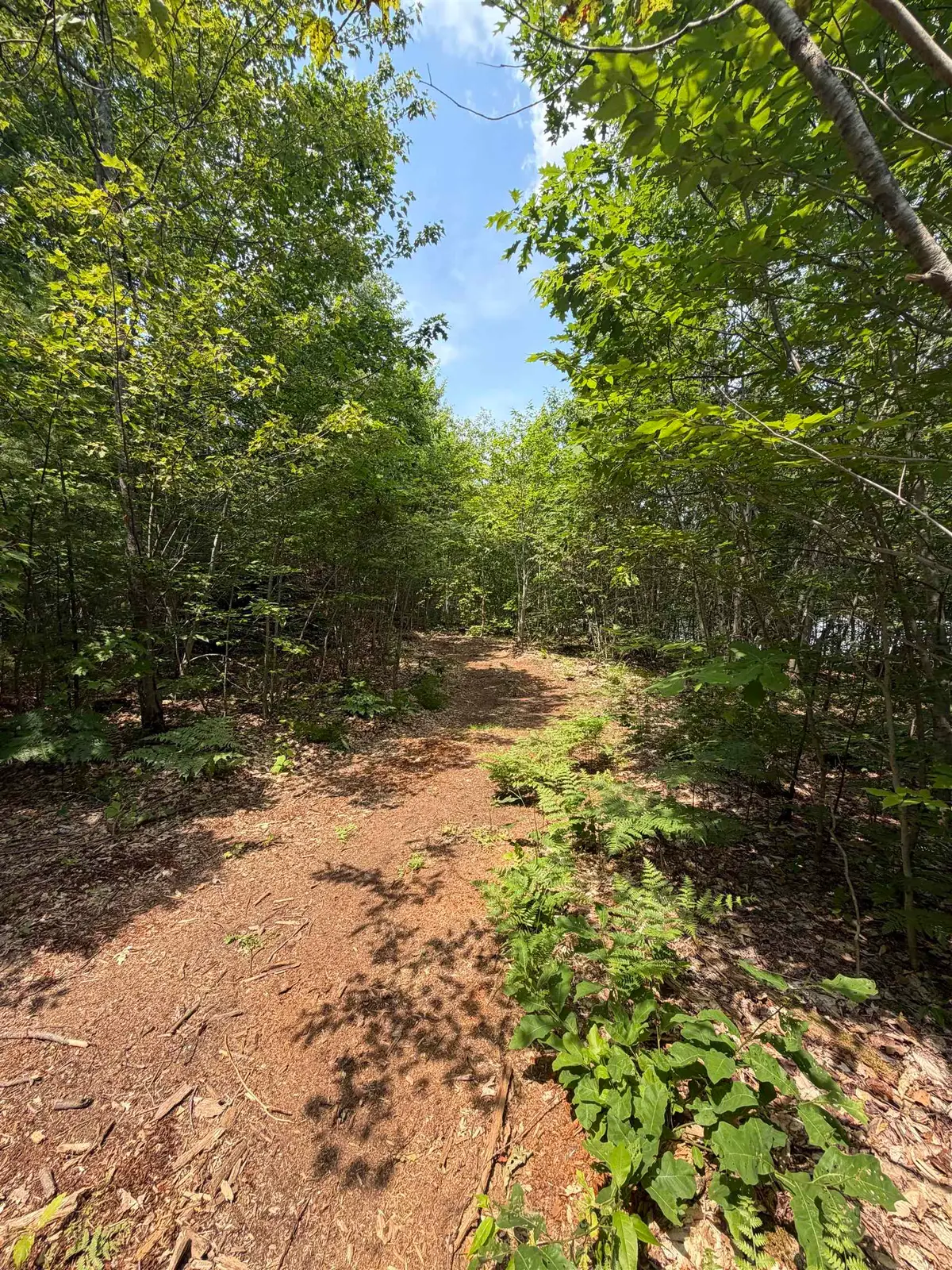 Map 206 Lot 28 Whittier Road, West Ossipee, NH 03890 - #1