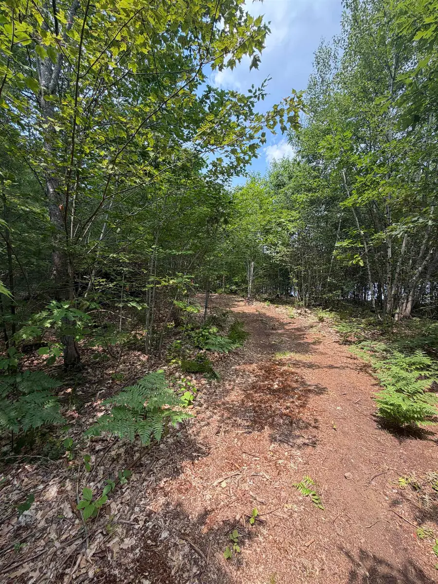 Map 206 Lot 28 Whittier Road, West Ossipee, NH 03890 - #2