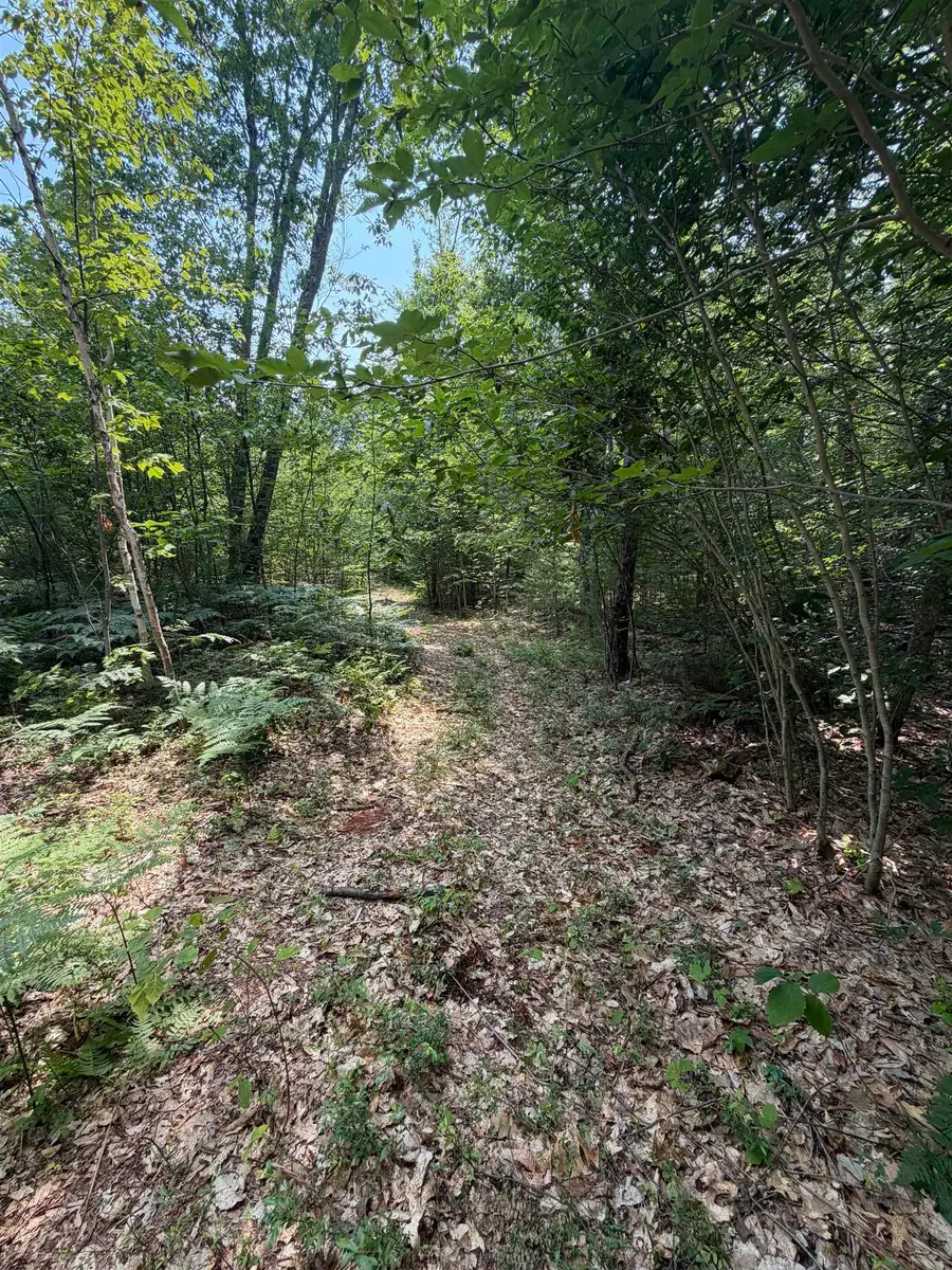Map 206 Lot 28 Whittier Road, West Ossipee, NH 03890 - #3