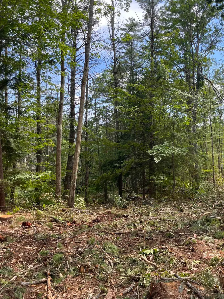 Columbus Jordan Road, Plainfield, NH 03781 - #3