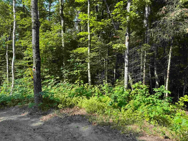 0 North Groton Road, Groton, NH 03241