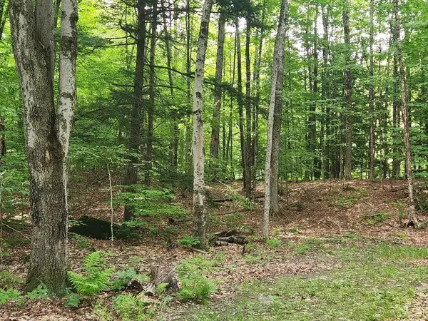 0 Beechwood Drive, Cornish, NH 03745