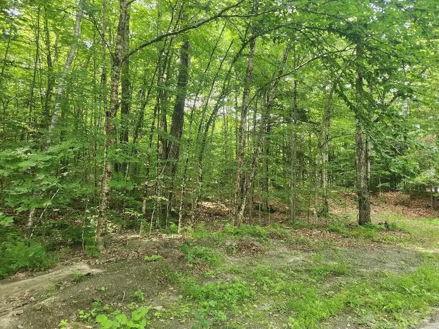 0 Beechwood Drive, Cornish, NH 03745 - #3