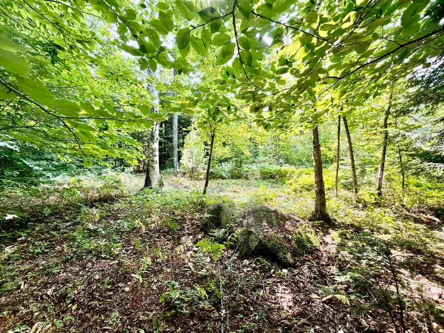 Lee Brook Road, Thornton, NH 03223 - #2