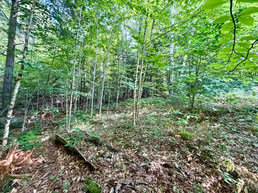 Lee Brook Road, Thornton, NH 03223 - #3