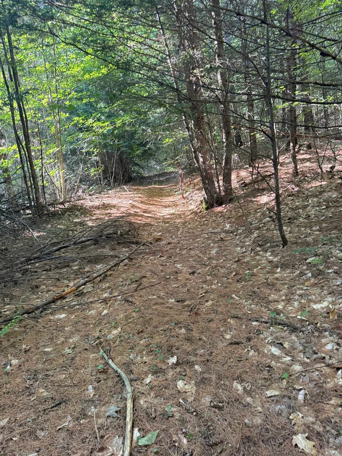 60 Pound Road, Sanbornton, NH 03269 - #1