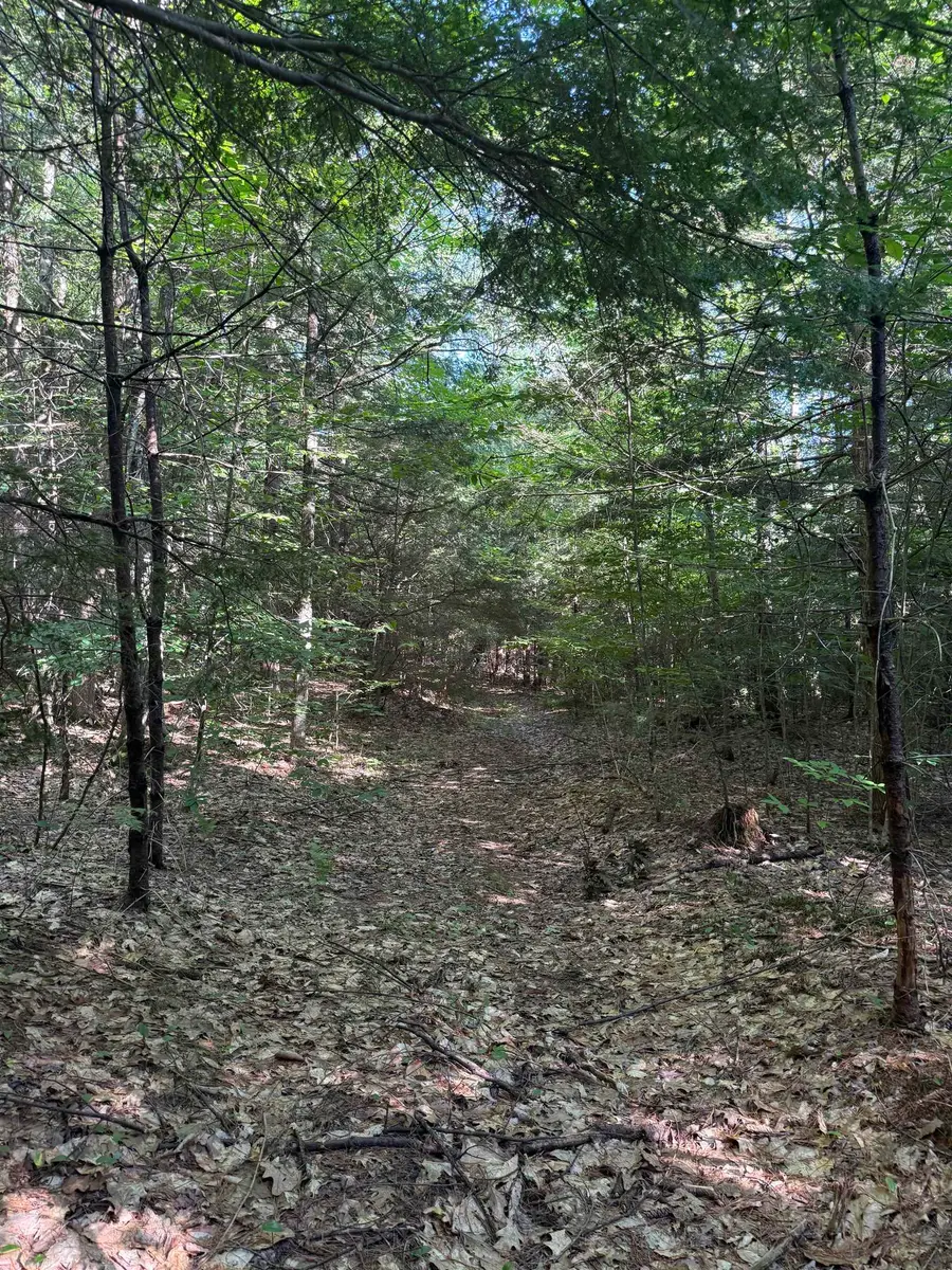60 Pound Road, Sanbornton, NH 03269 - #2