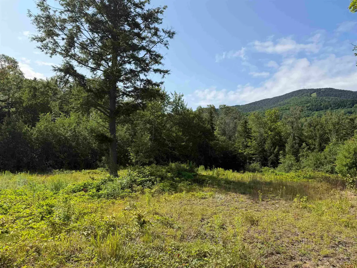 1559 Pinkham Road #Lots  3 & 4, Burke, VT 05832 - #1