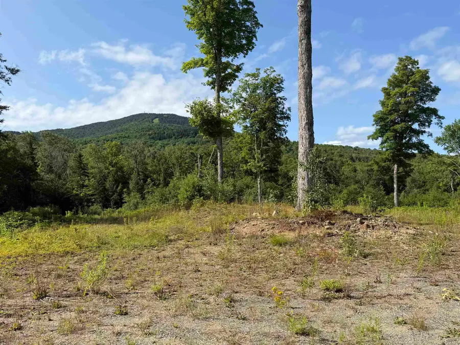 1559 Pinkham Road #Lots  3 & 4, Burke, VT 05832 - #2