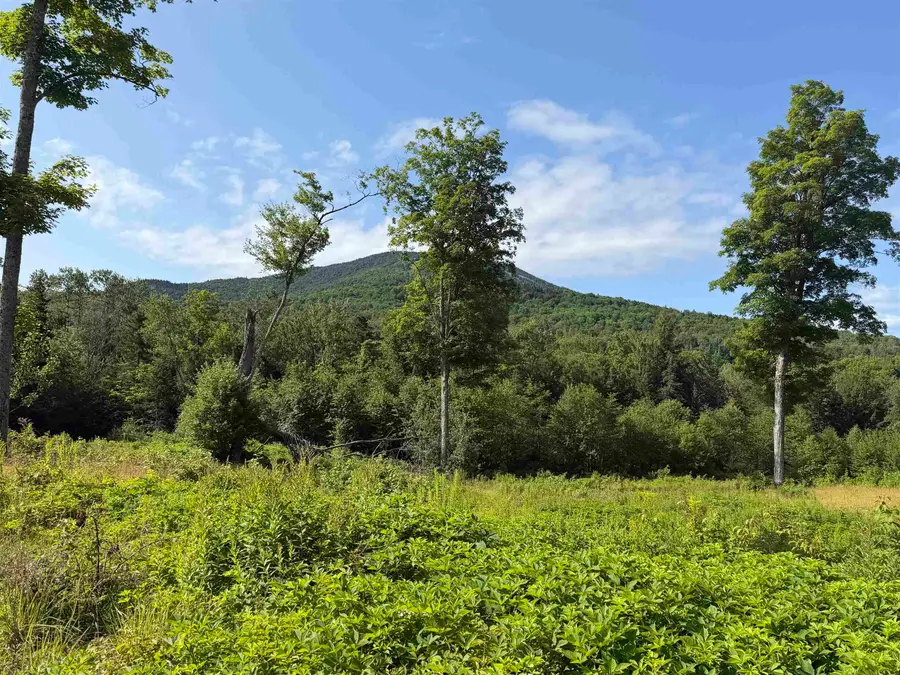 1559 Pinkham Road #Lots  3 & 4, Burke, VT 05832 - #3