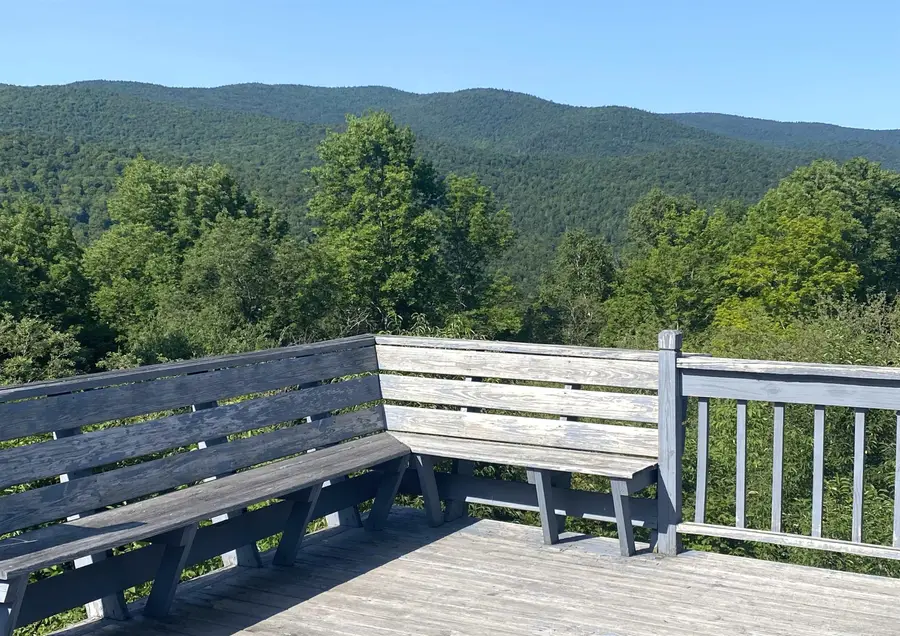 419 Shampeny Hill Road, Hancock, VT 05748 - #3