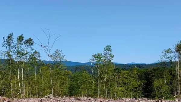 xx Isaac Colby Road, Sanbornton, NH 03269