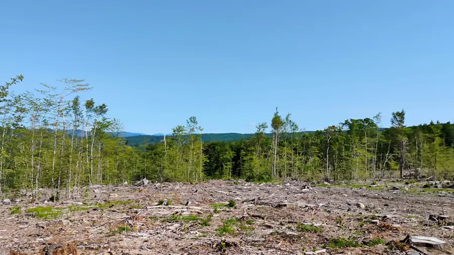 xx Isaac Colby Road, Sanbornton, NH 03269 - #2