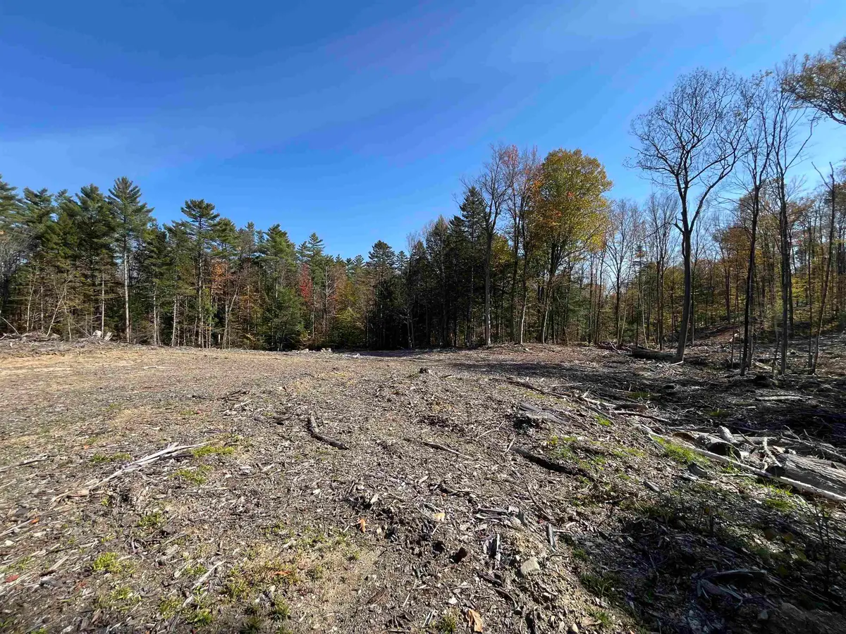 Lots 7 & 10 Underwood Road #Map 221 Lots 007 & 010, Acworth, NH 03601 - #1