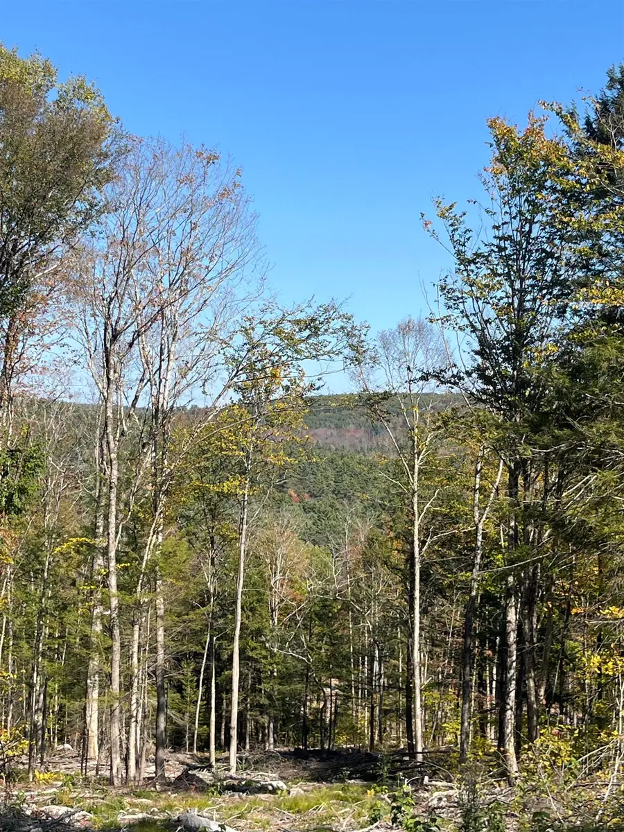 Lots 7 & 10 Underwood Road #Map 221 Lots 007 & 010, Acworth, NH 03601 - #3