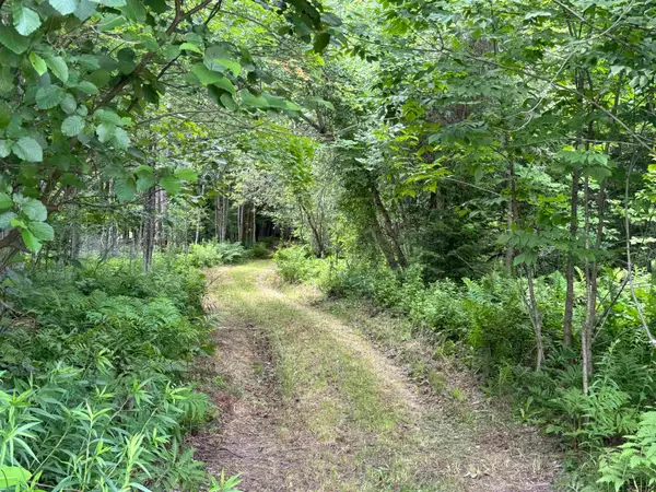 0 Richard Woolcutt Road, Wolcott, VT 05680
