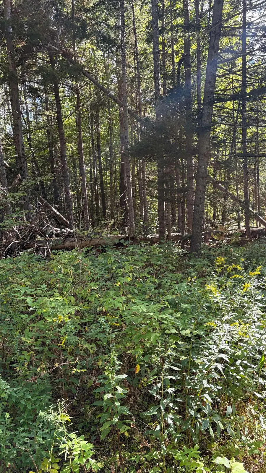 0 Oregon Road #3, Lisbon, NH 03585 - #3