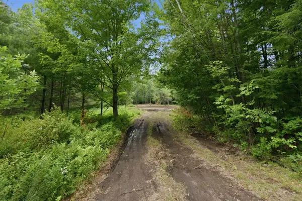 Lot 29 Dane Road, Center Harbor, NH 03226