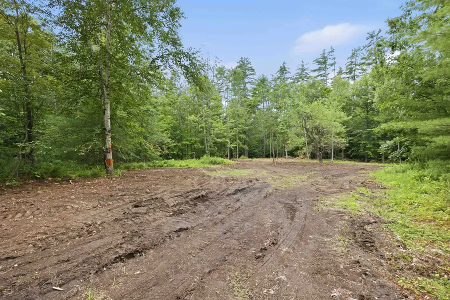 Lot 29 Dane Road, Center Harbor, NH 03226 - #2