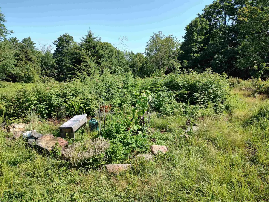 2501 Chelsea Mountain Road, Randolph, VT 05060 - #3