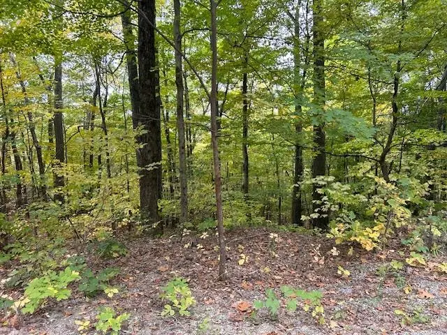 0 Mount Anthony Road, Bennington, VT 05201 - #1