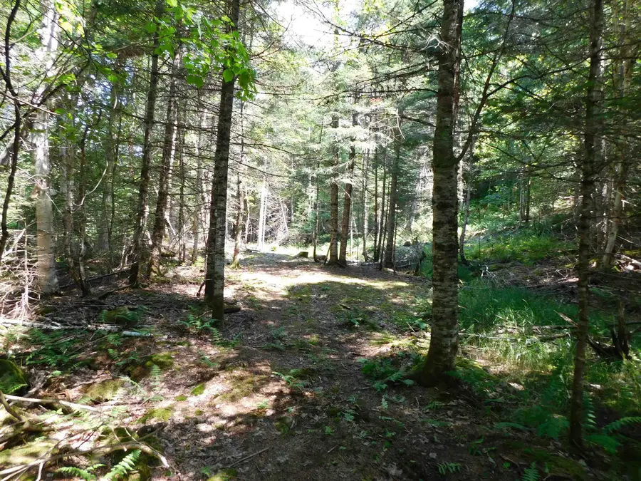0 Cloutiers Loop, Pittsburg, NH 03592 - #2