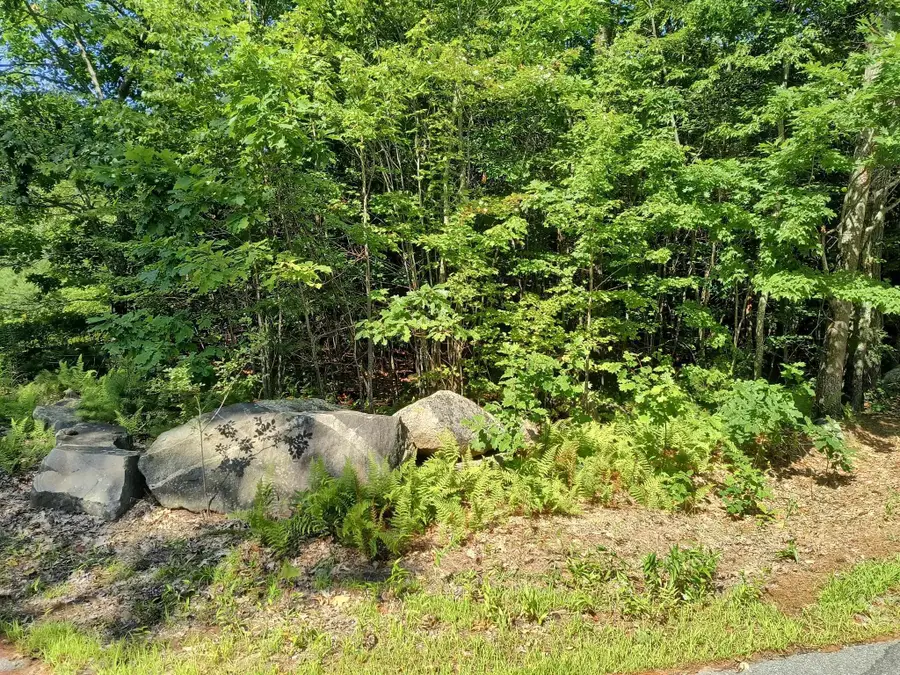 Map 7 Lot 33.5 Jaffrey Road, Marlborough, NH 03455 - #2