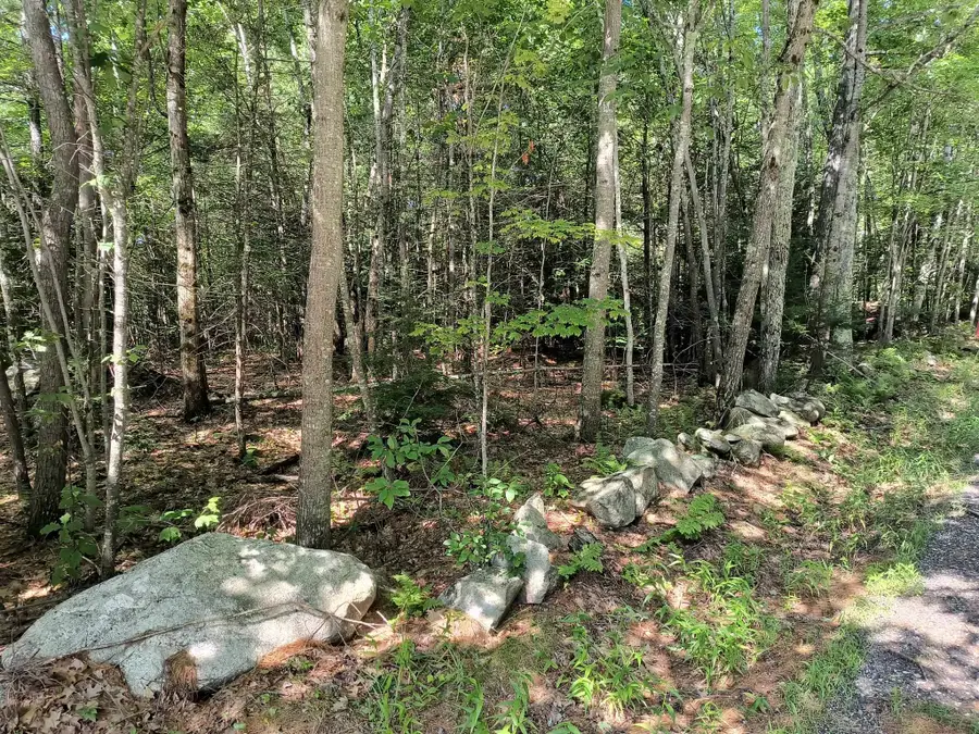 Map 7 Lot 33.5 Jaffrey Road, Marlborough, NH 03455 - #3