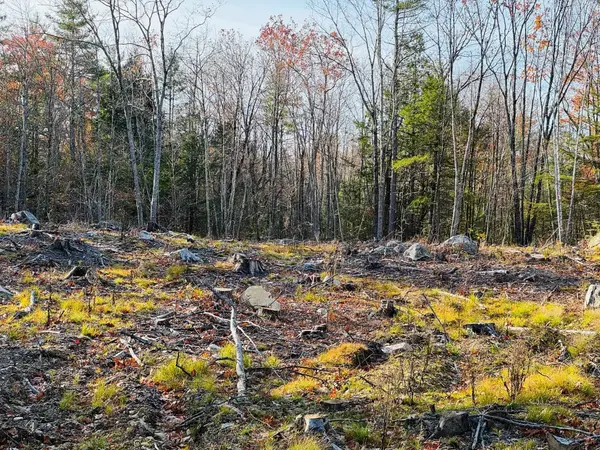 Lot 70 Homestead Lane, Barrington, NH 03825