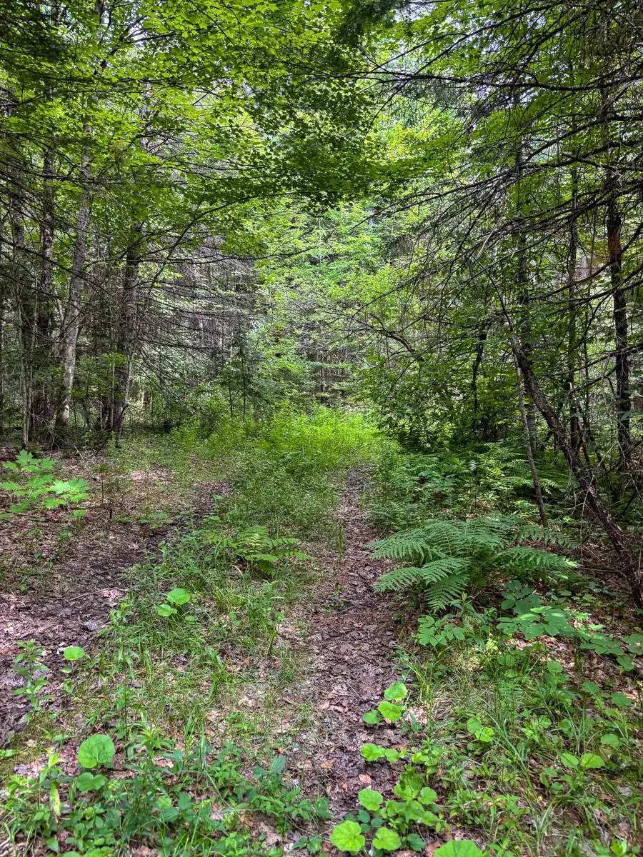 0000 Center Pond Road, Newark, VT 05871 - #2