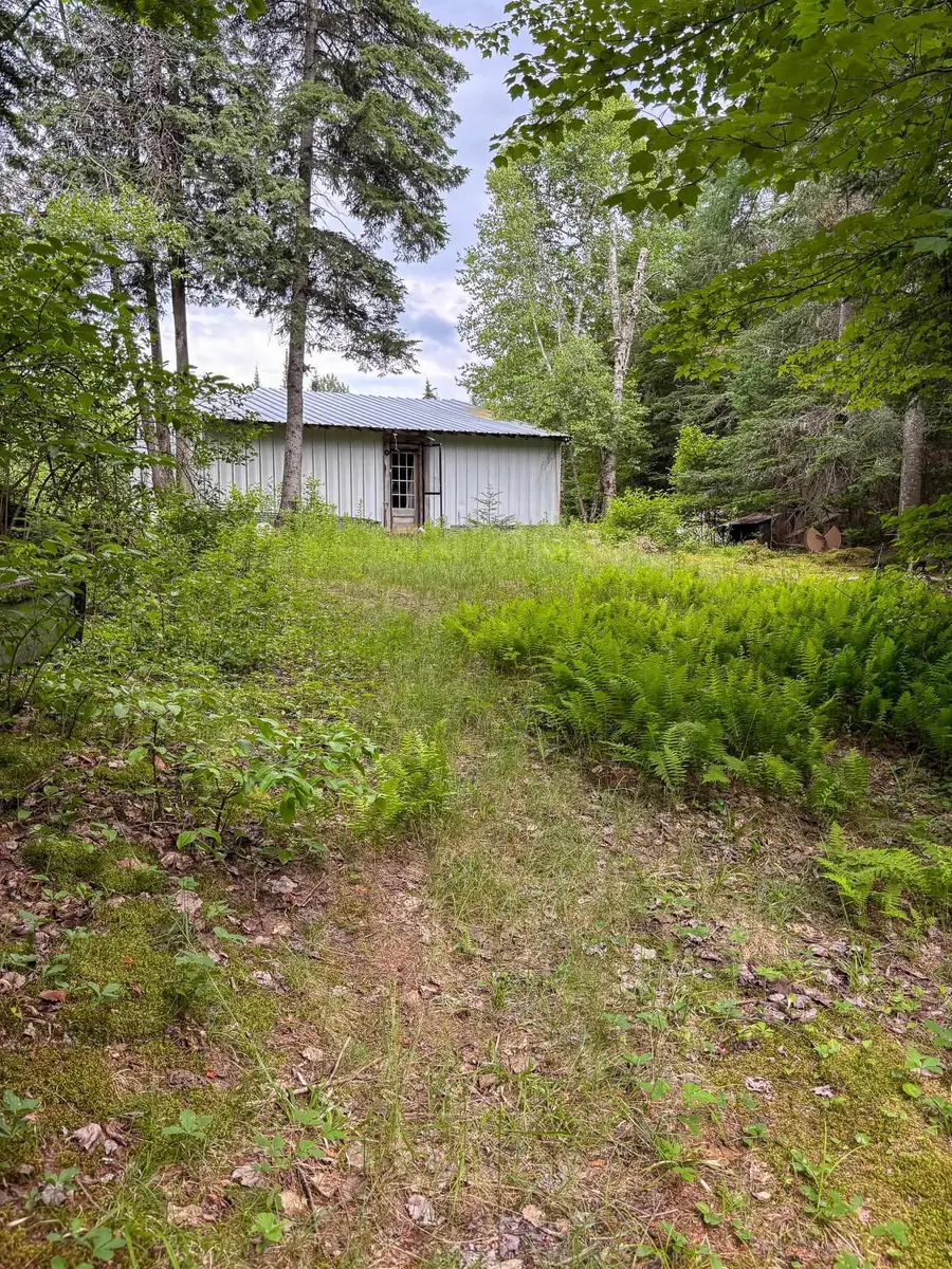 0000 Center Pond Road, Newark, VT 05871 - #3