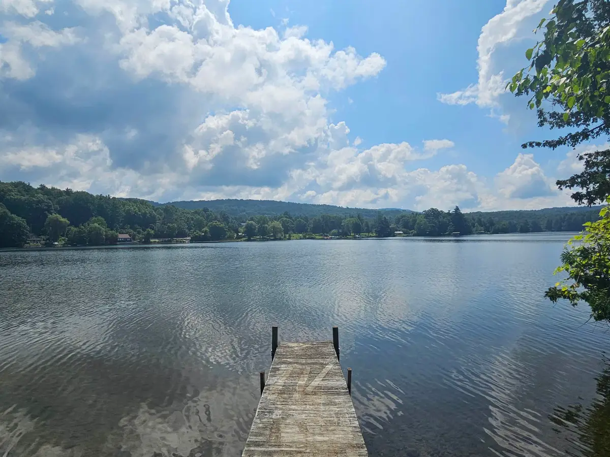 167 Kapitan Road, Sudbury, VT 05733 - #1