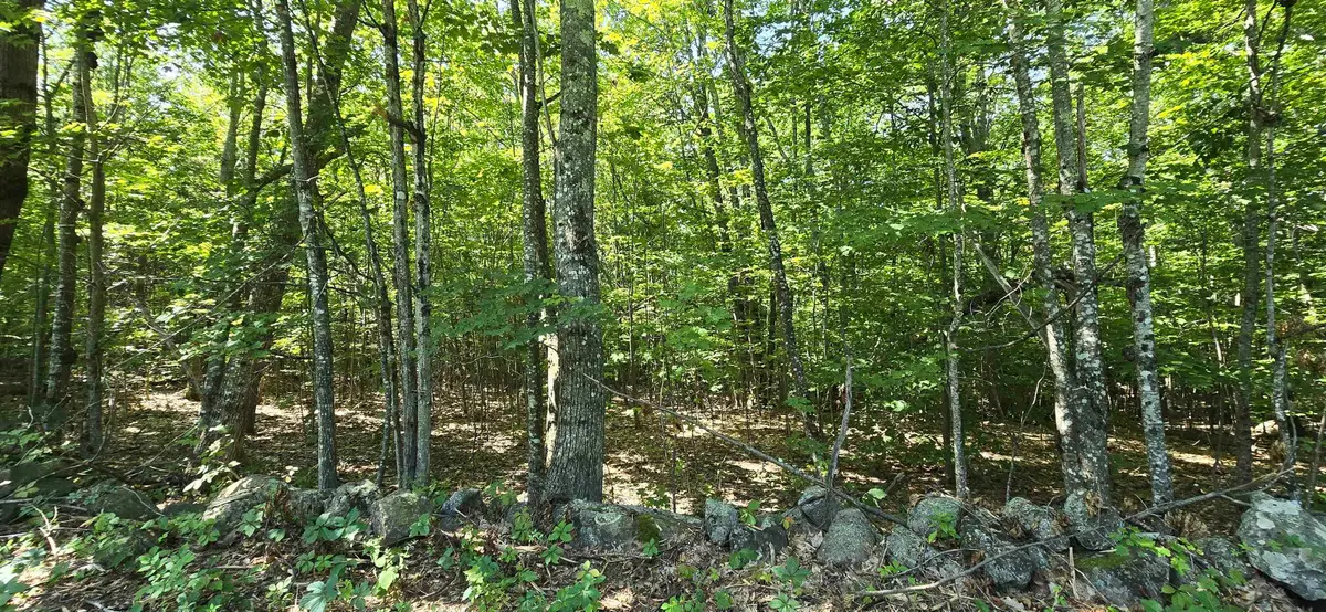 406-17 Guinea Ridge Road, Gilmanton, NH 03237 - #1