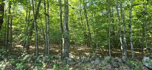406-17 Guinea Ridge Road, Gilmanton, NH 03237
