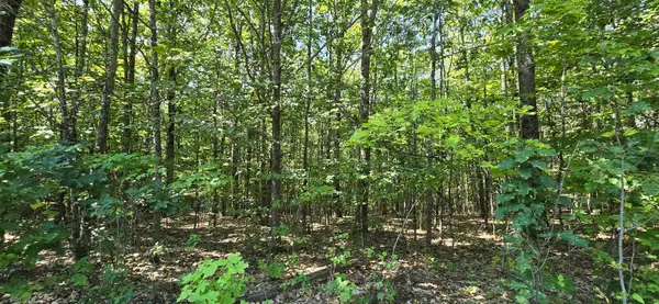 406-19 Guinea Ridge Road, Gilmanton, NH 03237