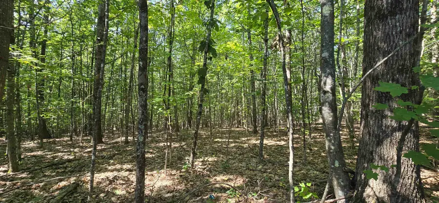 406-19 Guinea Ridge Road, Gilmanton, NH 03237 - #2