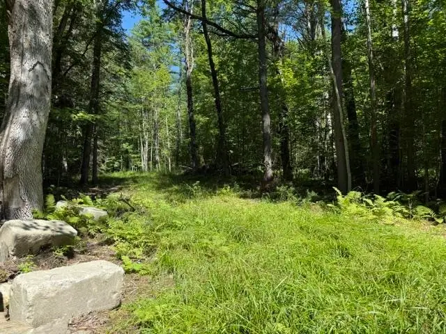 362 Mero Road, Vershire, VT 05079 - #1