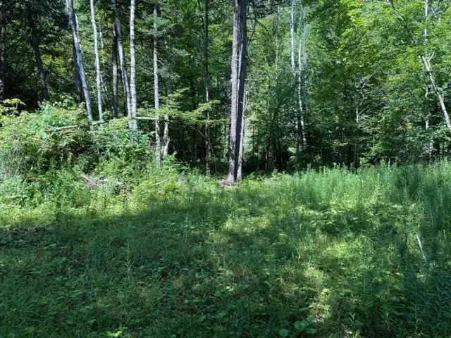 362 Mero Road, Vershire, VT 05079 - #2