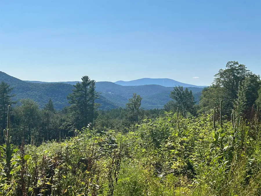 8 Pine Acers Lane, Townshend, VT 05359 - #2